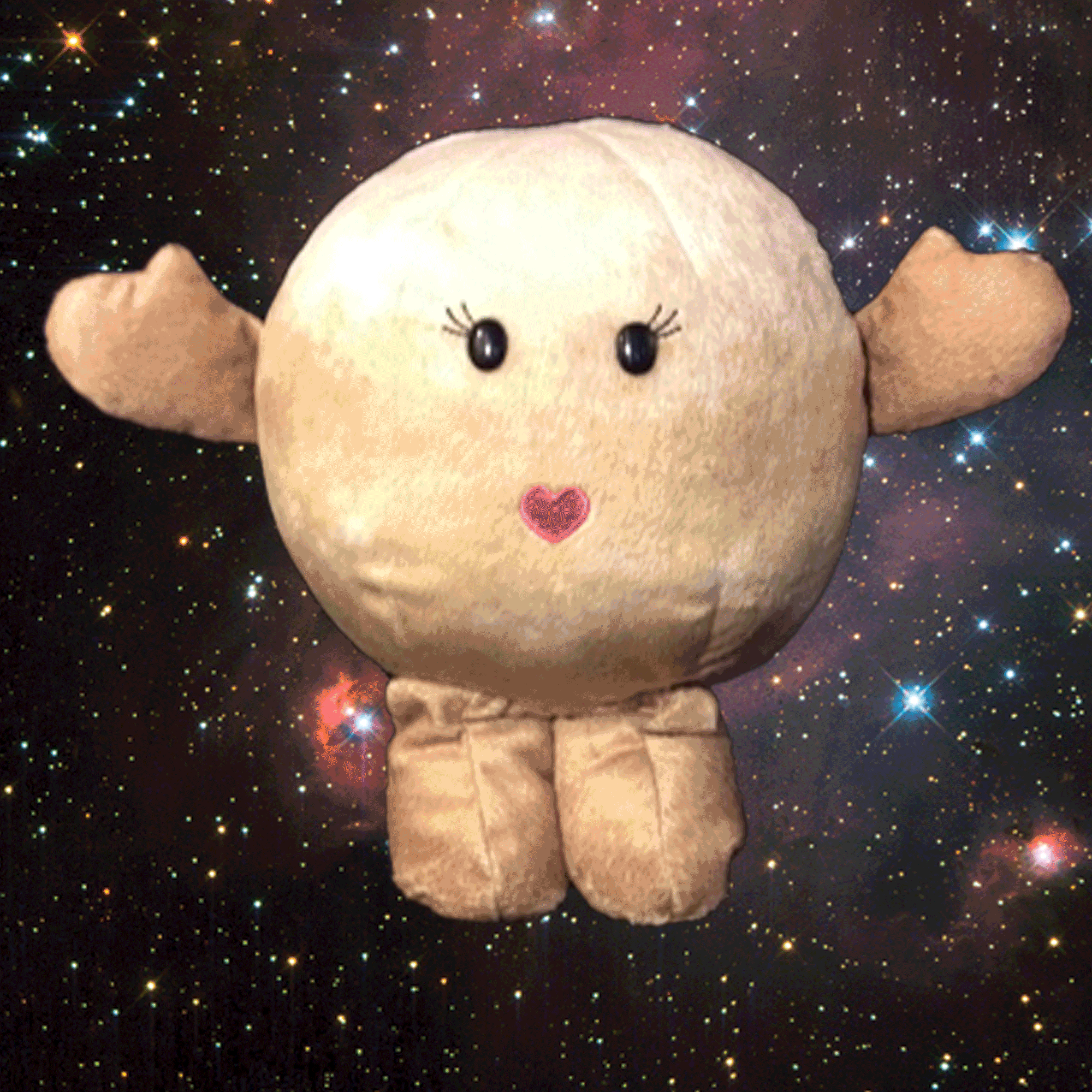 Venus Buddy