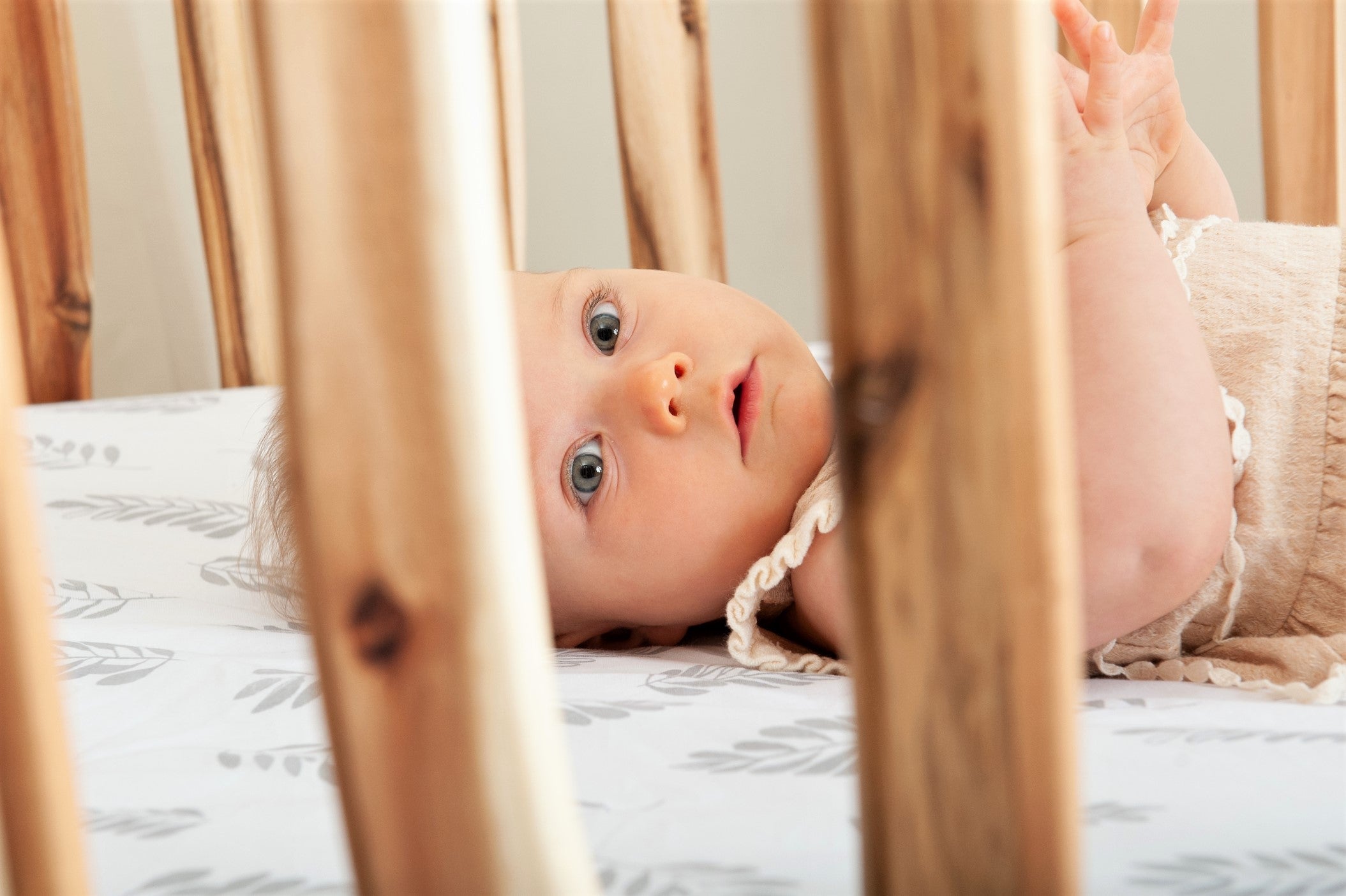 Branch Convertible Crib