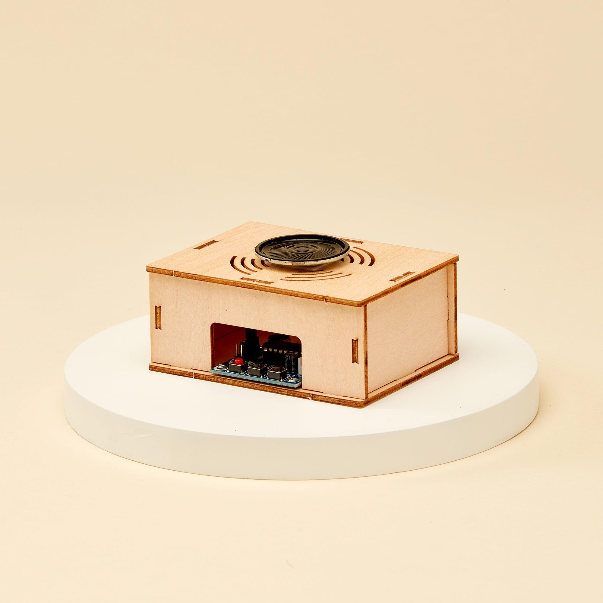 Voice Recorder Diy Kit, Educational Stem Toy