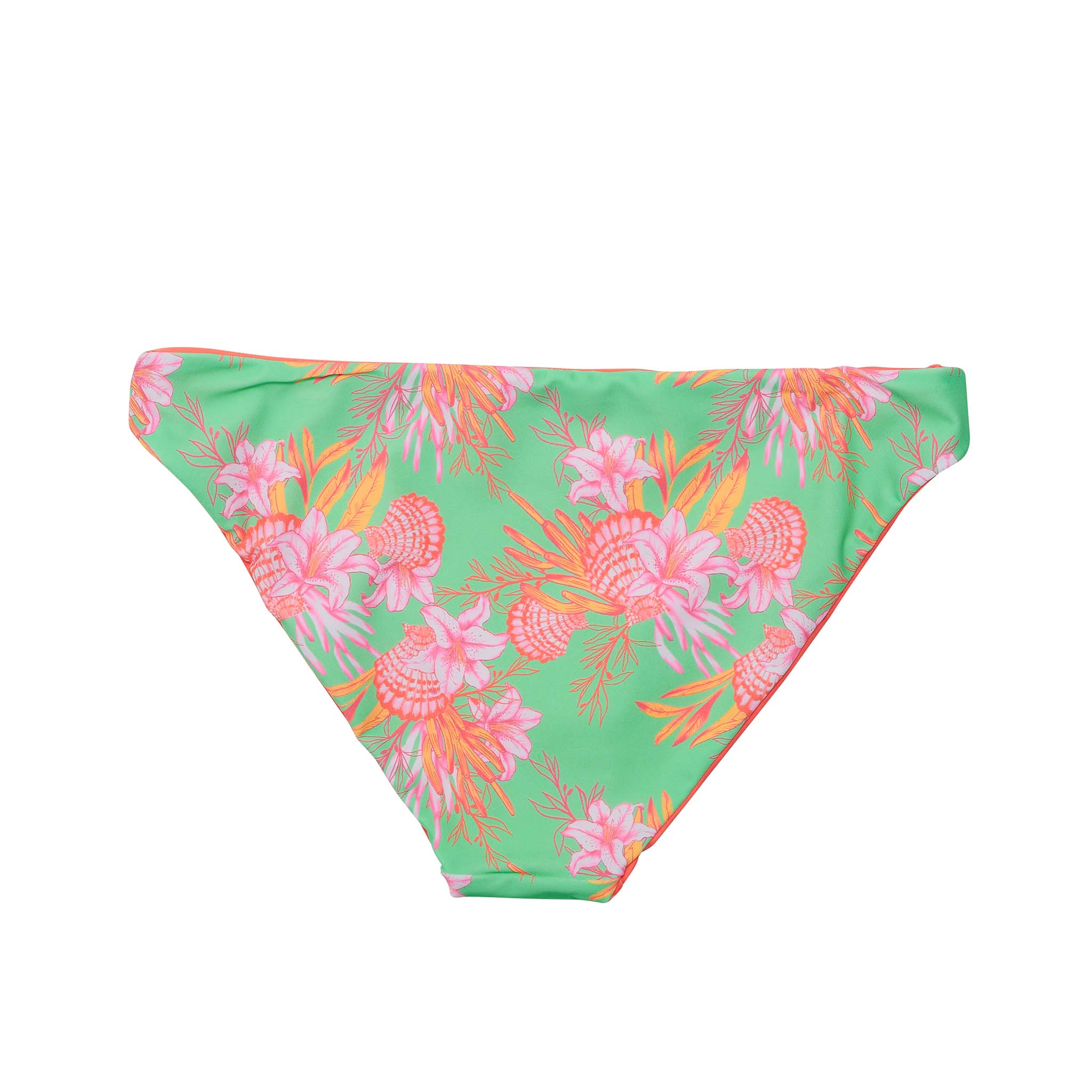 Coastal Shells Sustainable Bikini Bottom Womens