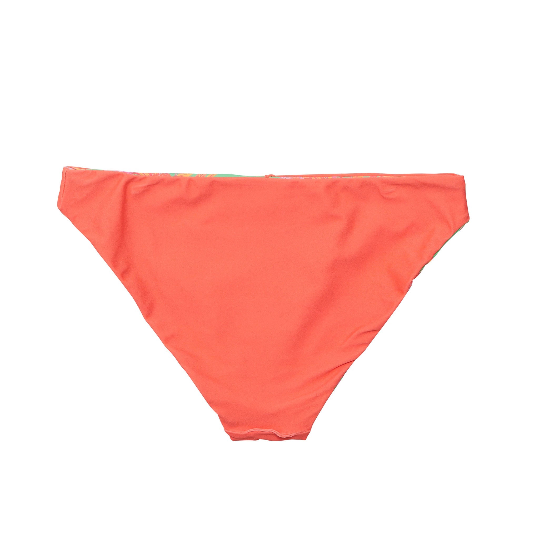 Coastal Shells Sustainable Bikini Bottom Womens