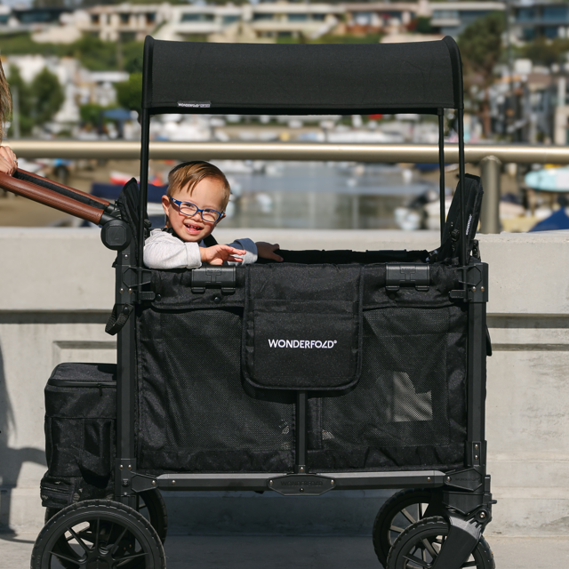 W2 Luxe Pro Stroller Wagon (2 Seater)