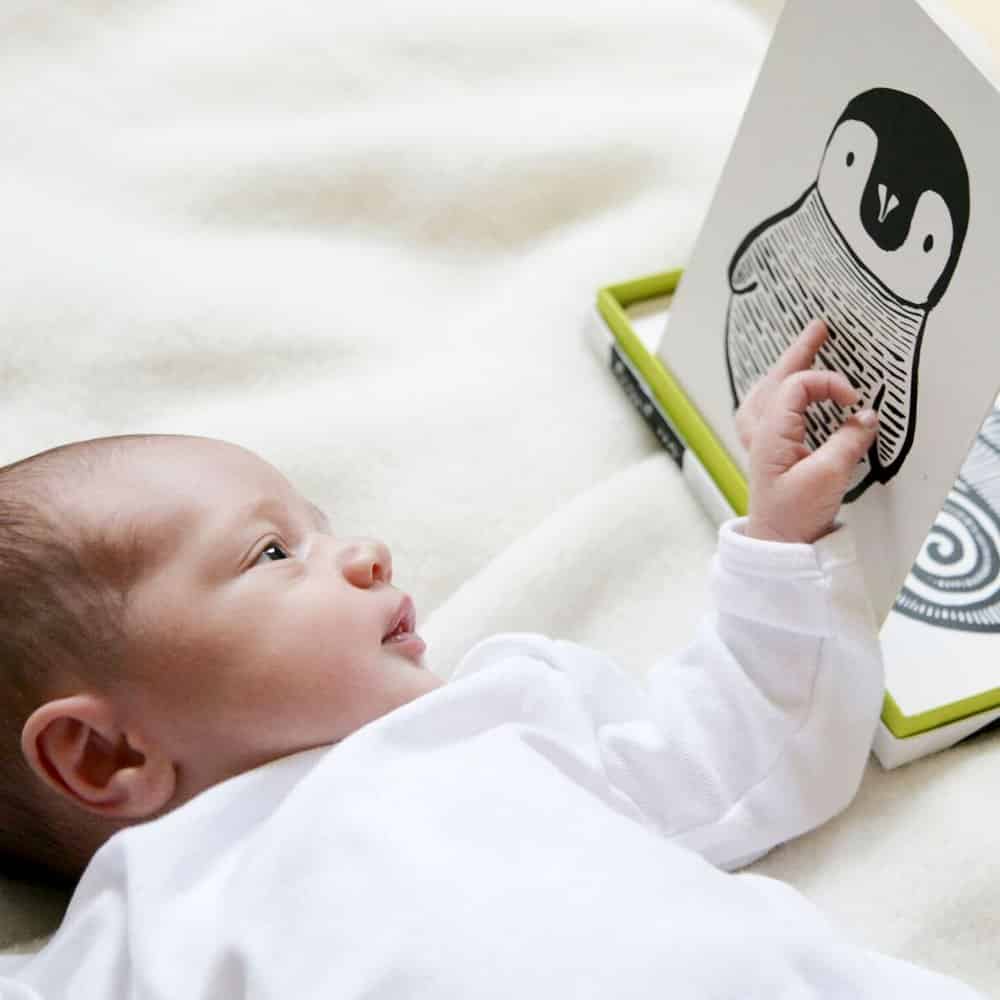 Art Cards For Baby - Jungle Collection