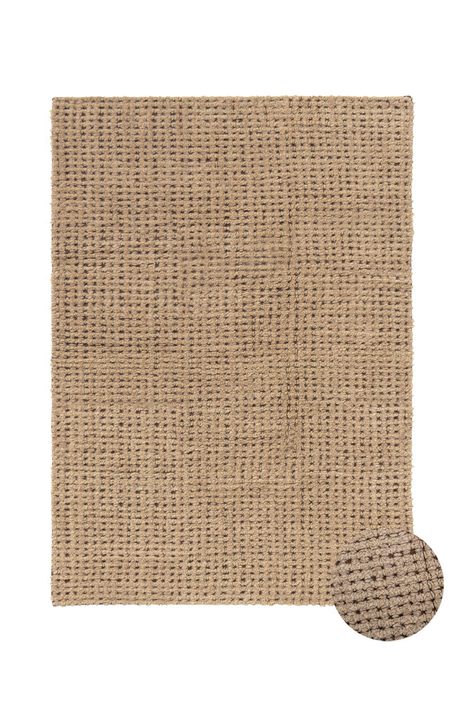 Wool Area Rug Blur