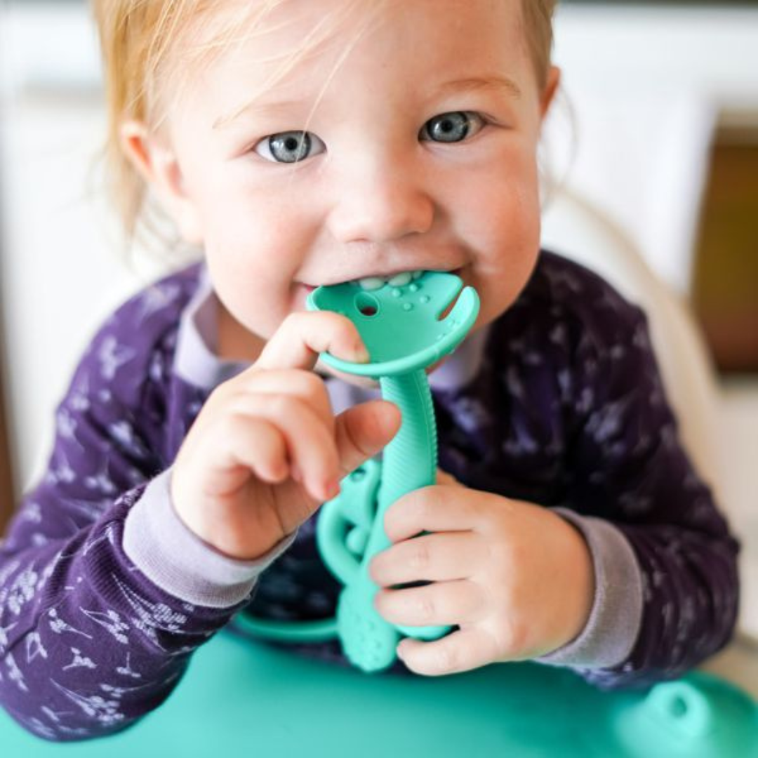 Busy Baby 2-in-1 Teether & Training Spoon