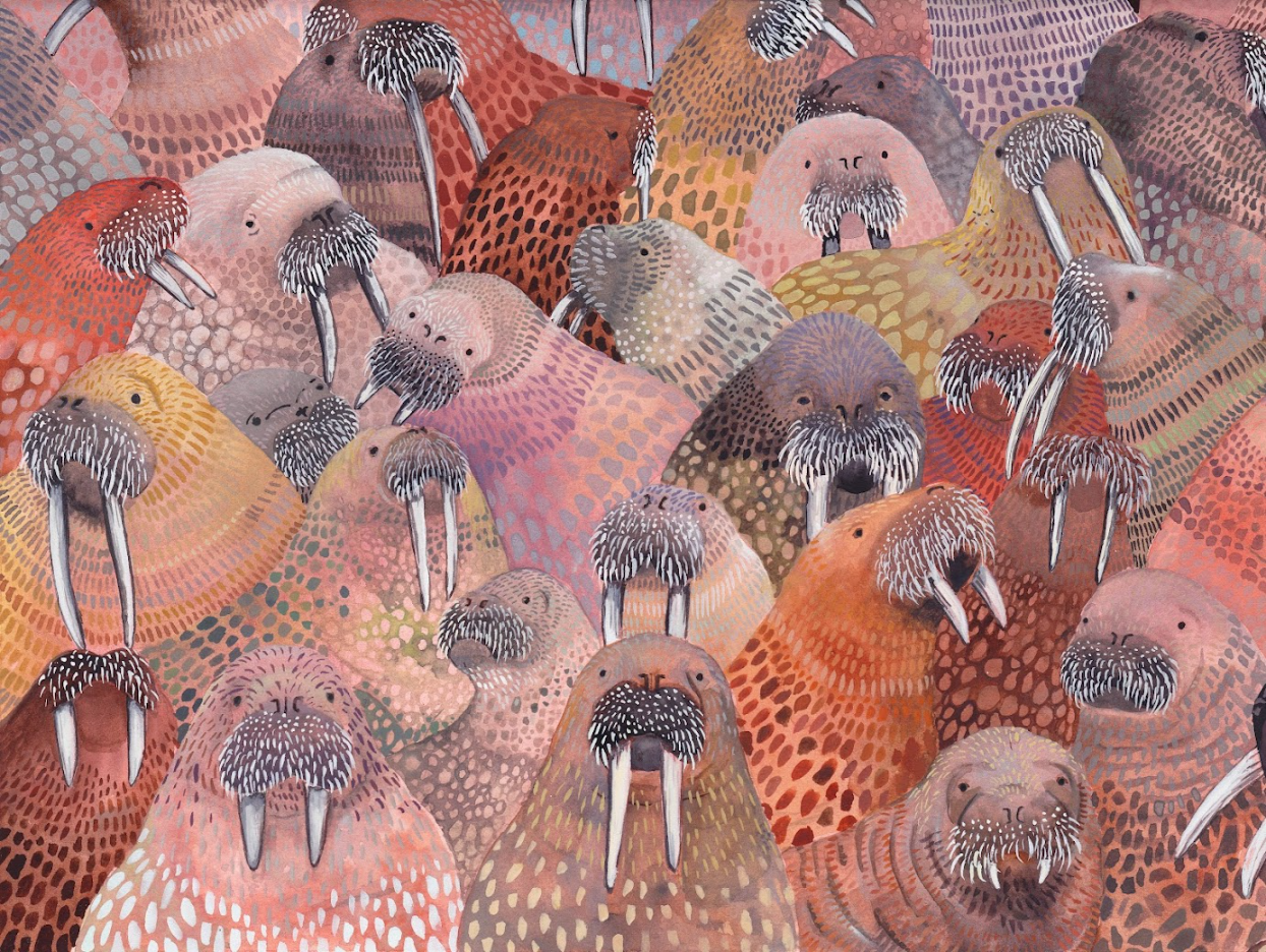 Walrus Colony, Emma Lopes