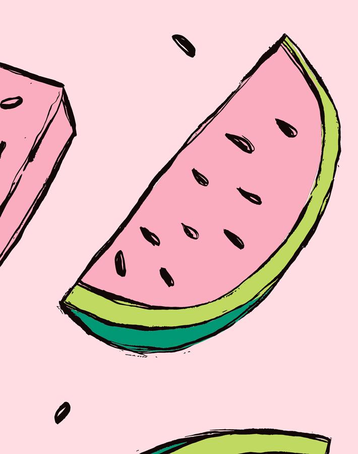 'watermelon' Wallpaper By Tea Collection - Ballet Slipper