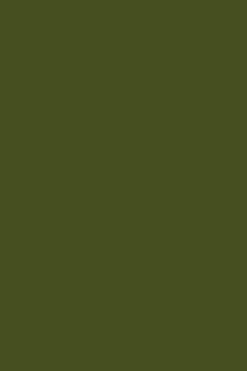 The Standard In Olive