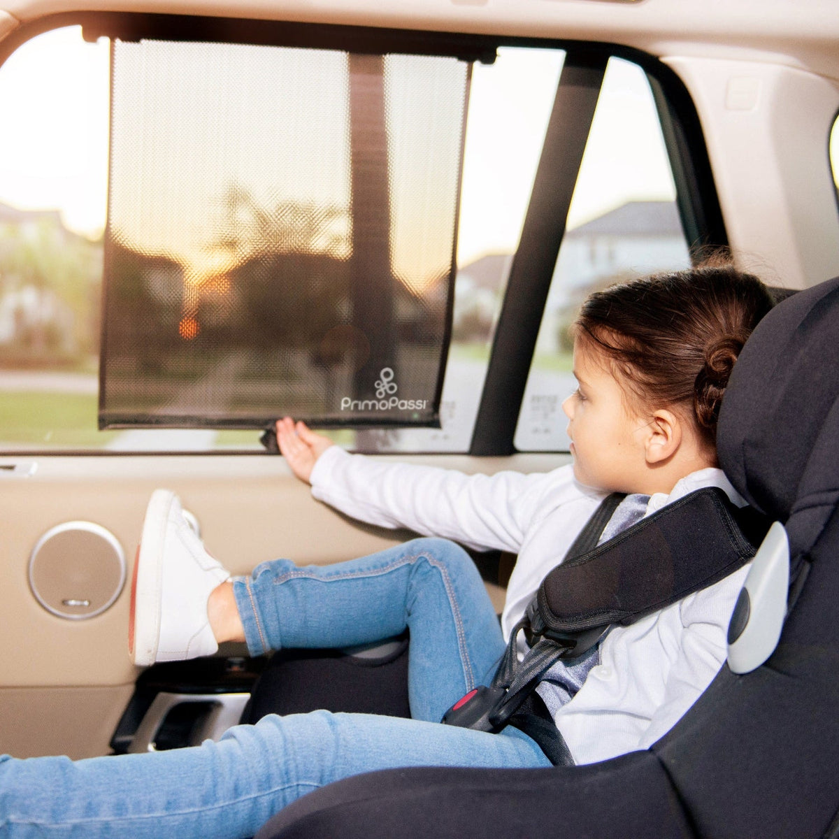 - Roller Window Sun Shade For Car, 2pk, Black