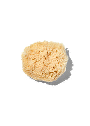 Natural "wool" 3-4" Sea Sponge