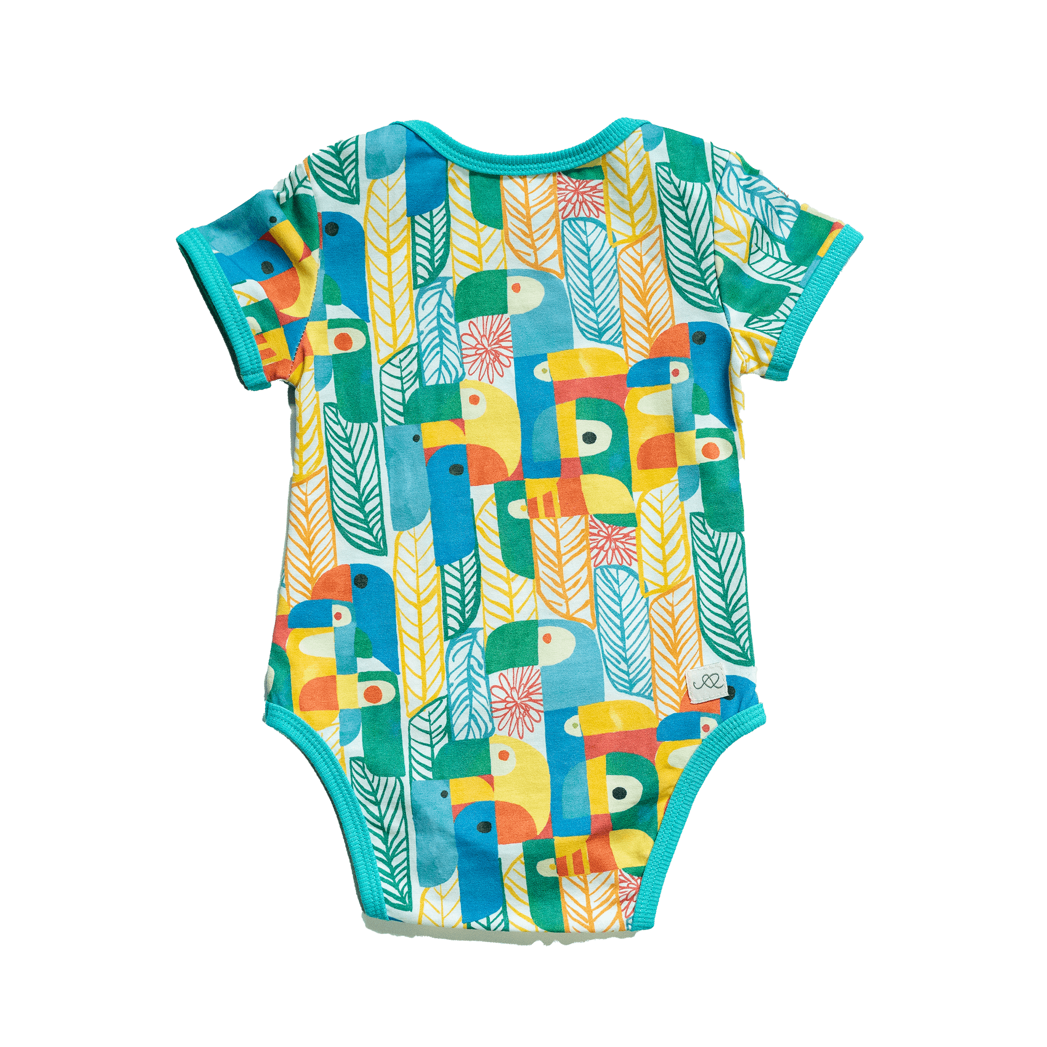 Wren Baby Body | Parrots