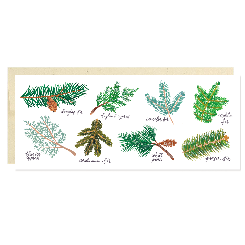 Christmas Tree Varieties