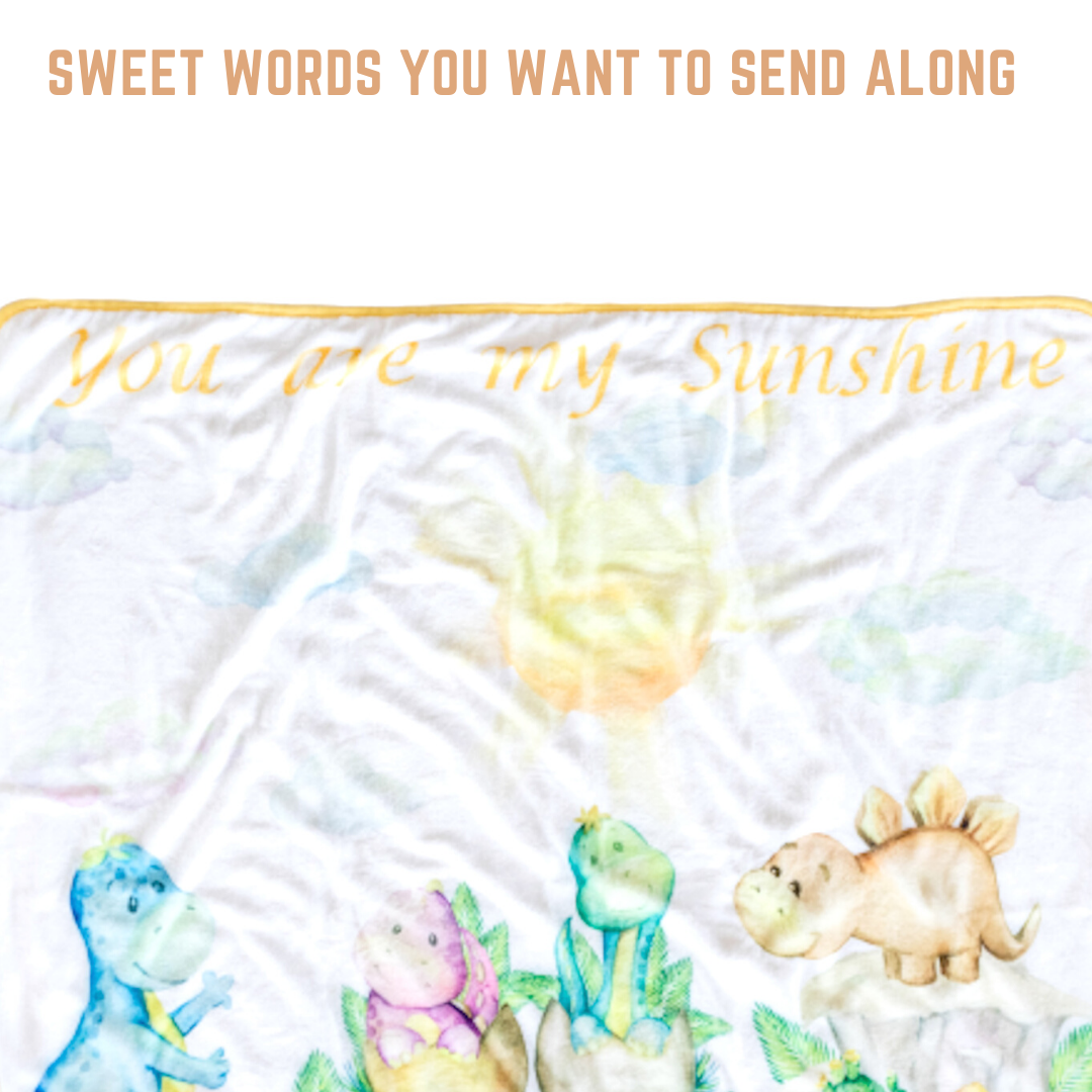 Bamboo Viscose Minky Dinosaur Blanket - Double Layers - You Are My Sunshine