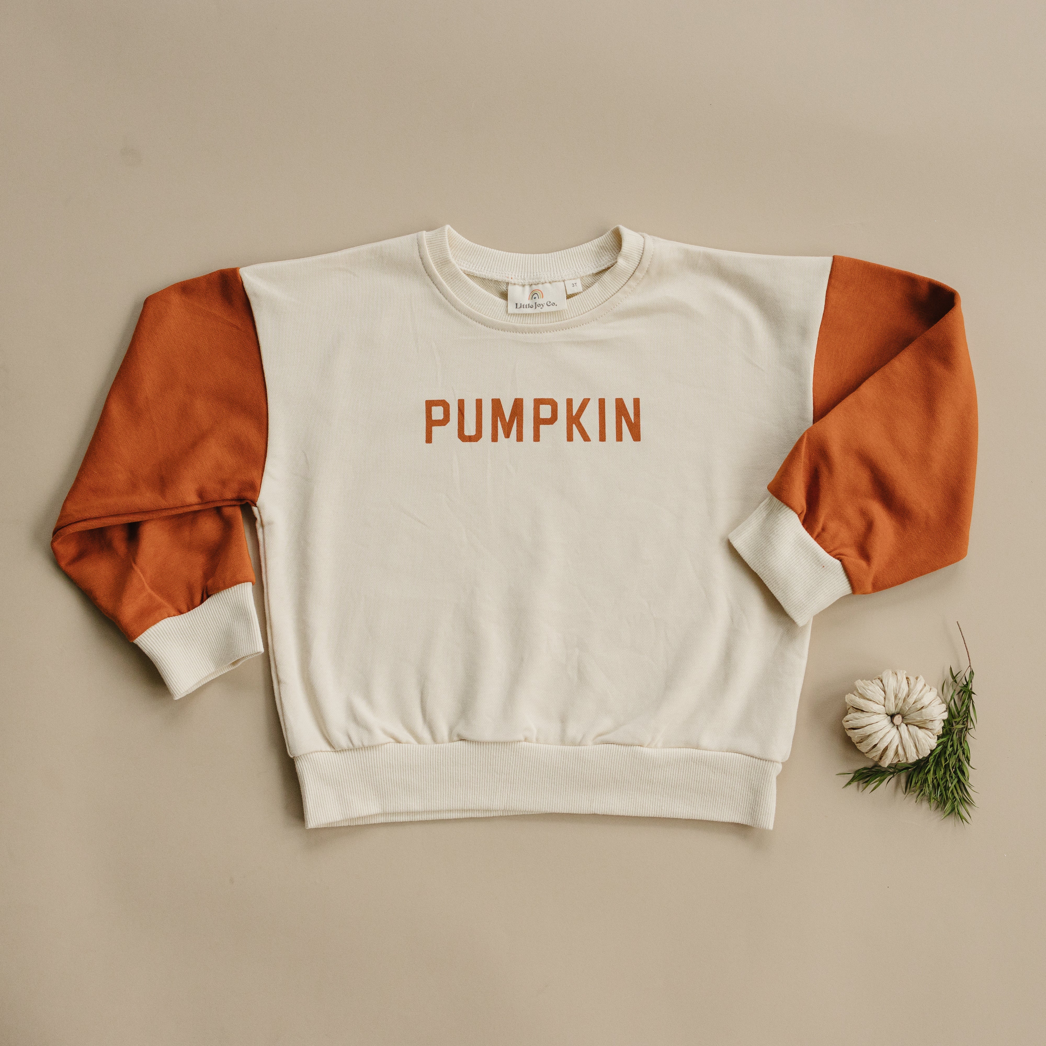 Colorblock ‘pumpkin’ Crewneck Sweatshirt