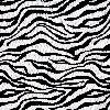 Baby Zebra Jacquard Knit Blanket