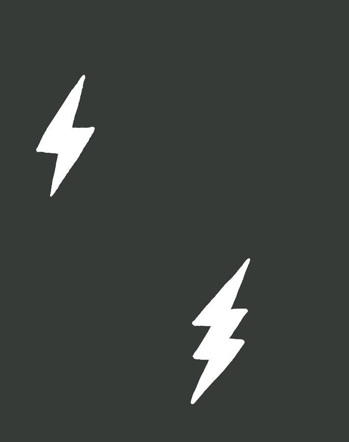 'zeus Lightning' Wallpaper By Tea Collection - Charcoal