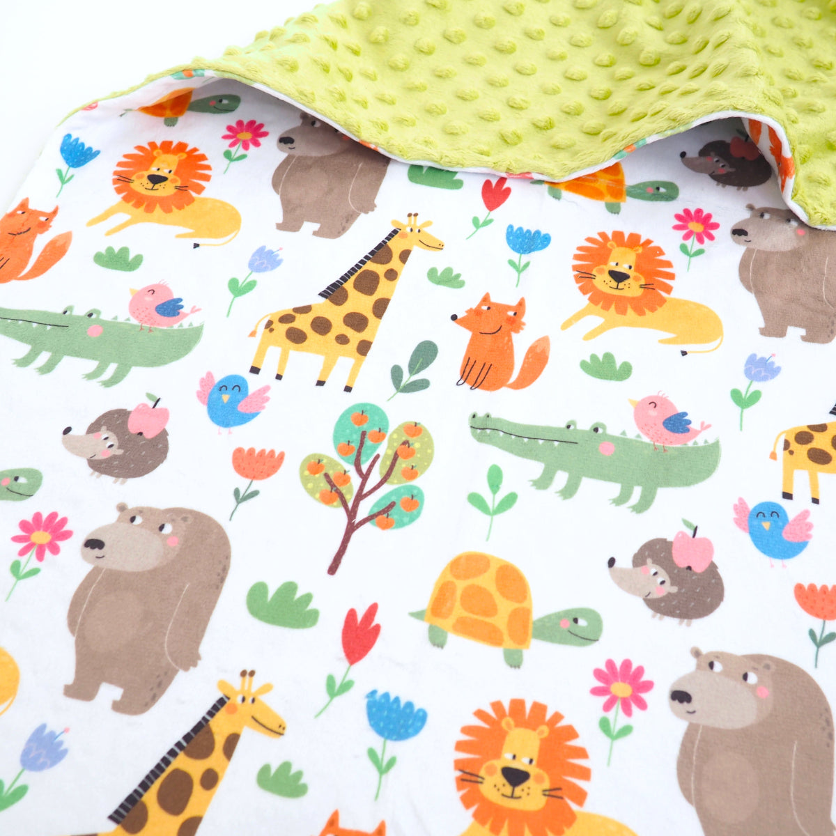 Zoo Party Minky Baby Blanket