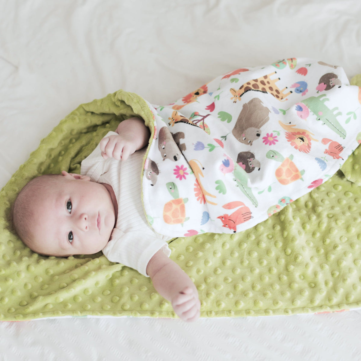Zoo Party Minky Baby Blanket