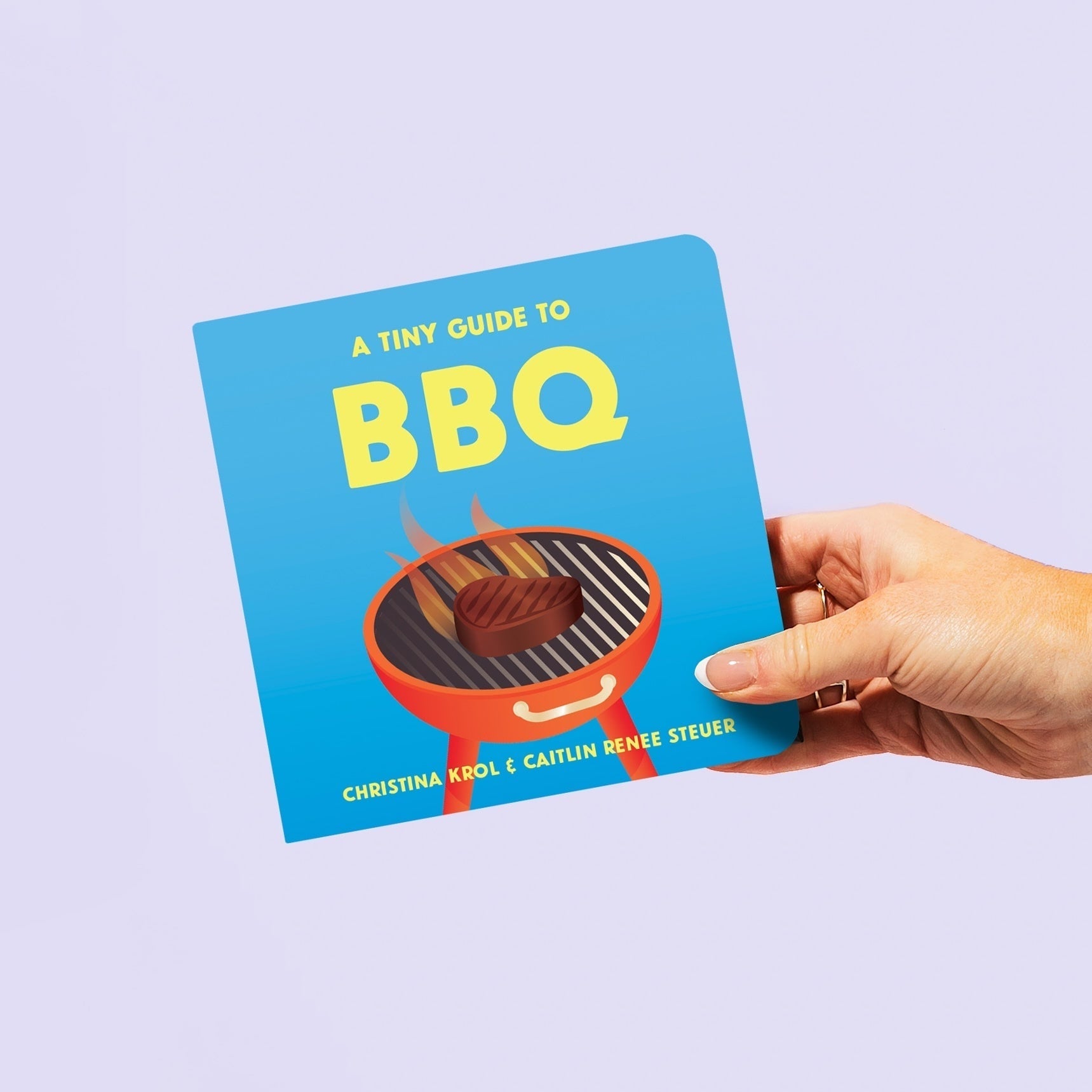 A Tiny Guide To Bbq Board Book