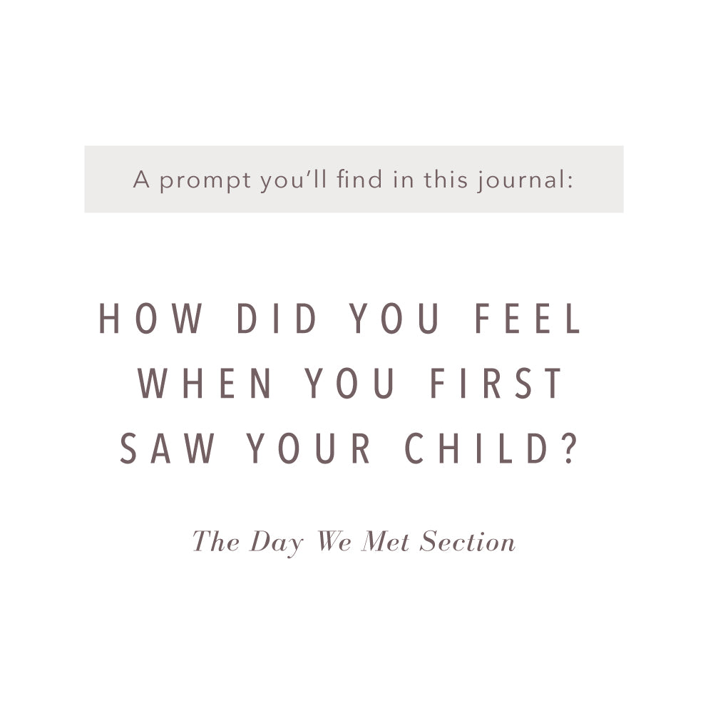 Adoption History Journal - Grey Linen by Promptly Journals