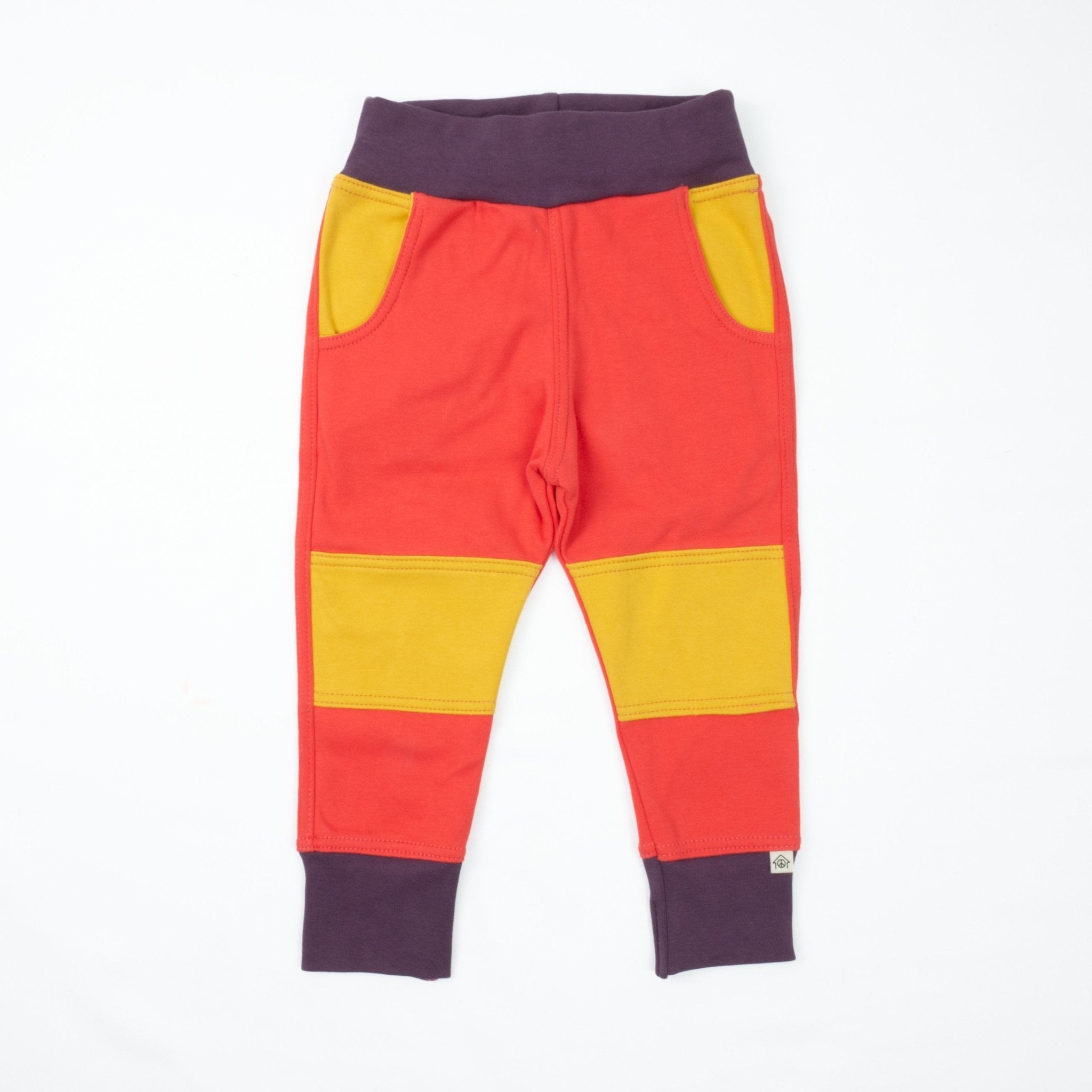 Adult Colorblock Joggers