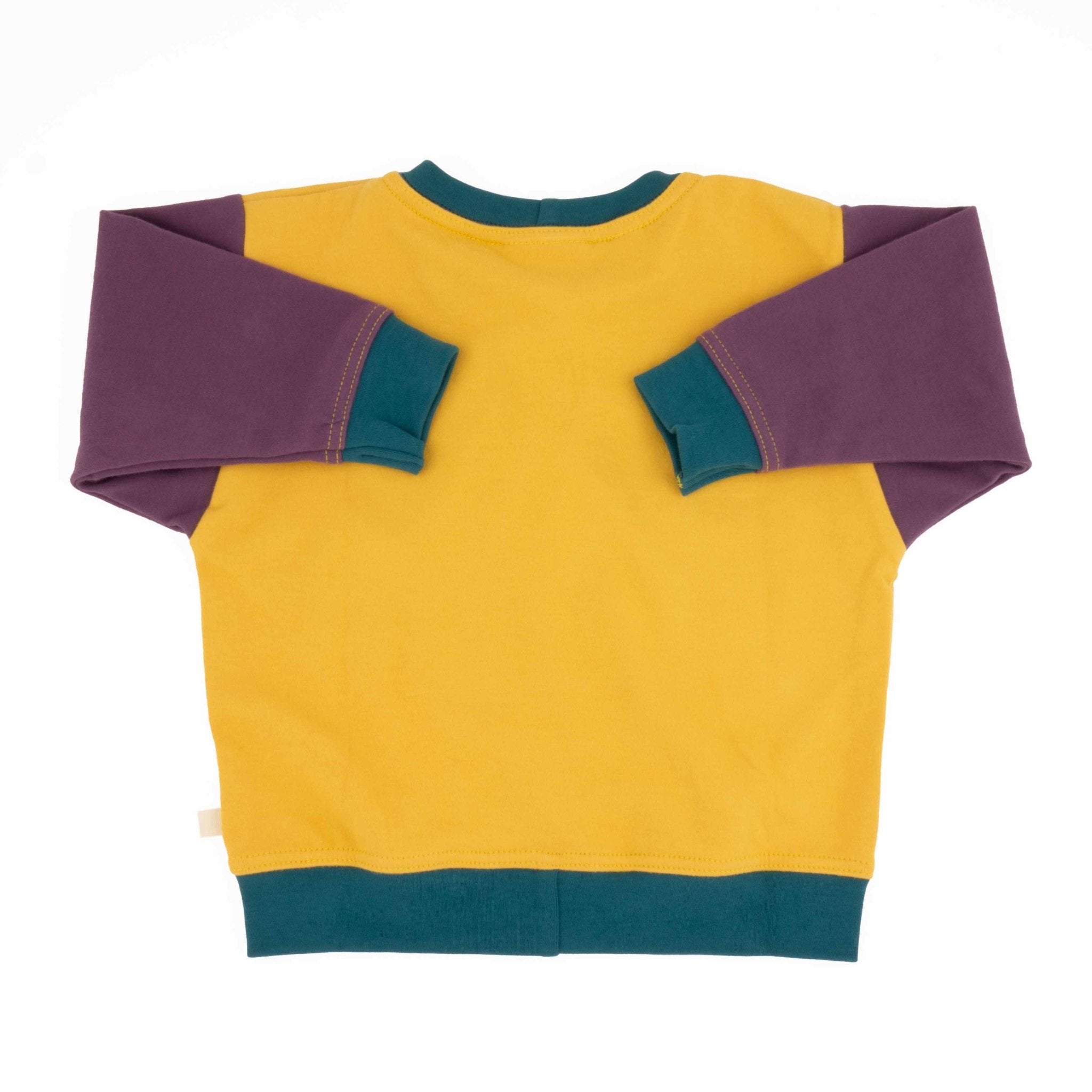 Adult Colorblock Sweatshirt