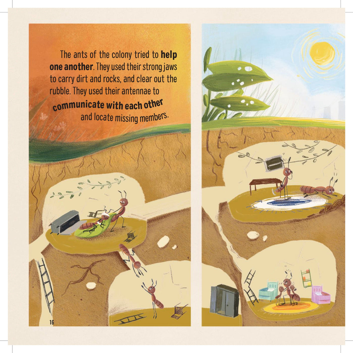 All Together By Jenny Molendyk | Children's Book