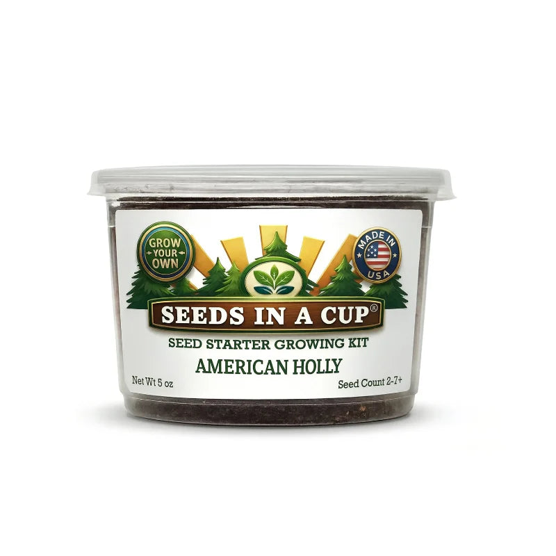 American Holly Grow Kit |
