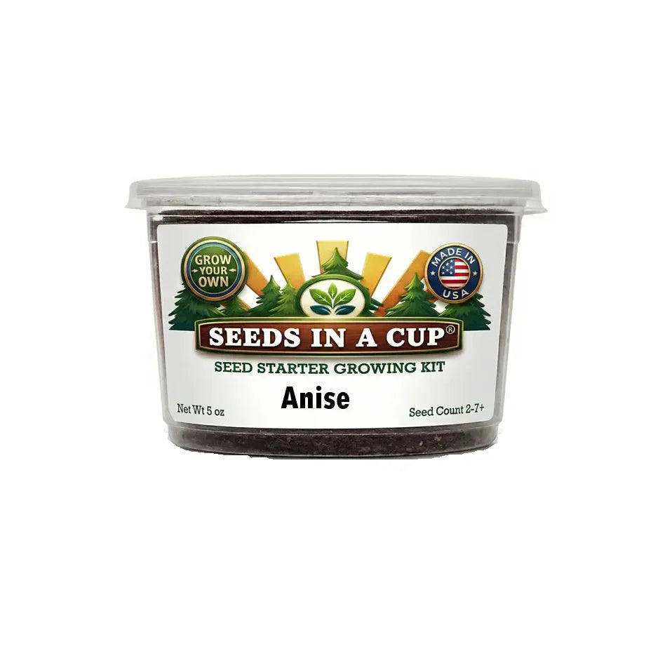Anise Grow Kit | Grow Fresh Anise From Seed |