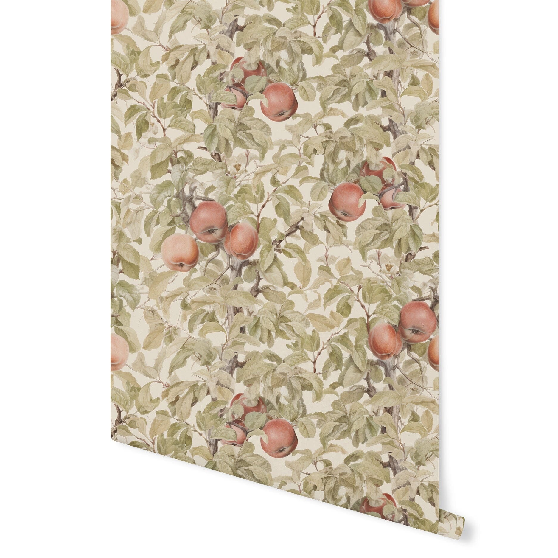 Apple Orchard Wallpaper