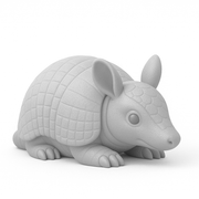 Arlo The Armadillo