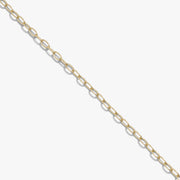 Delicate Paperclip Chain