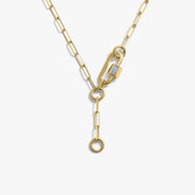 Carabiner Lariat Collector Necklace
