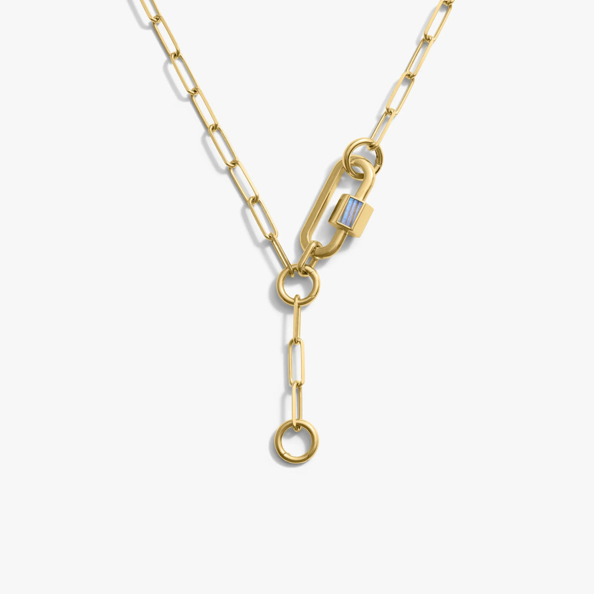 Carabiner Lariat Collector Necklace