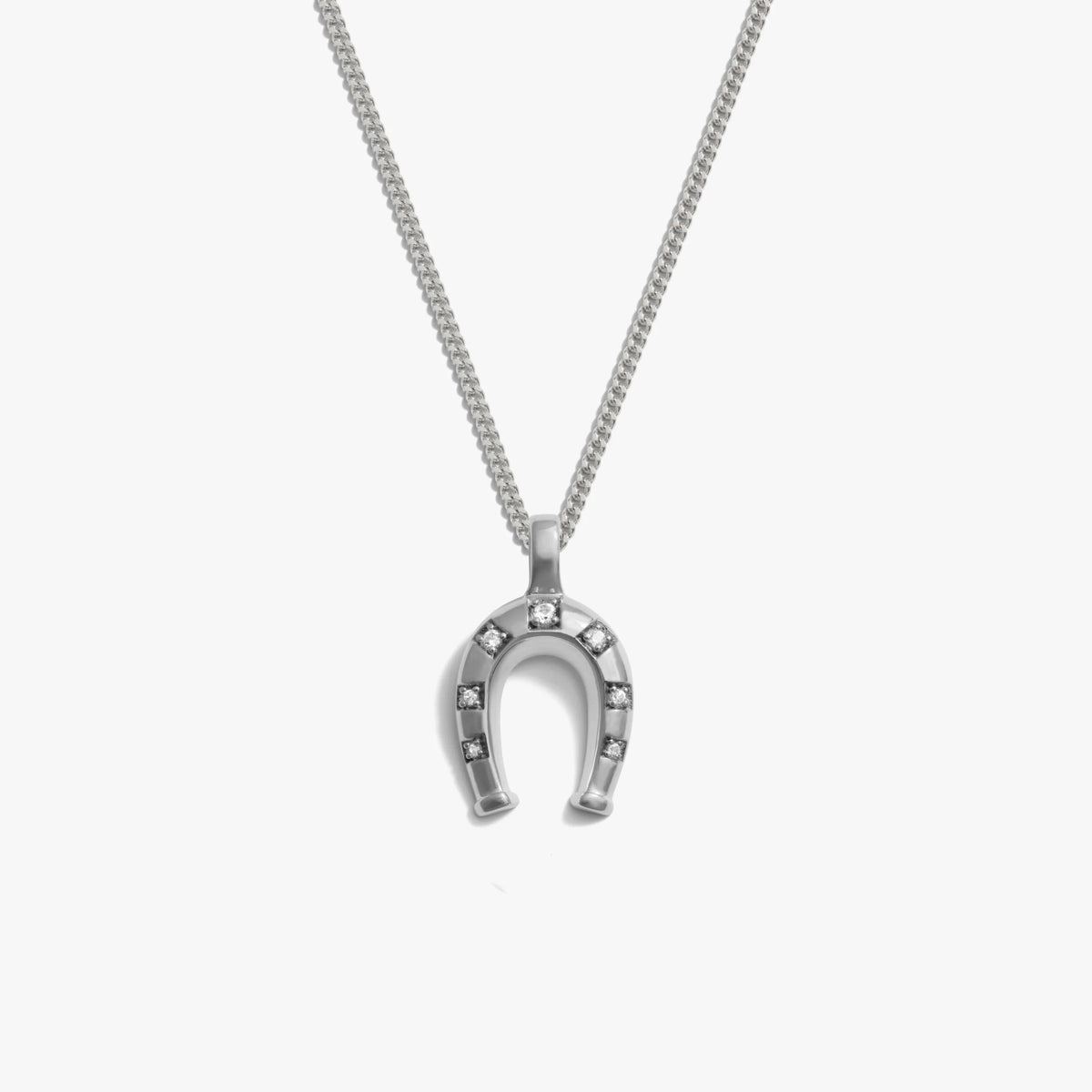 Horseshoe Necklace
