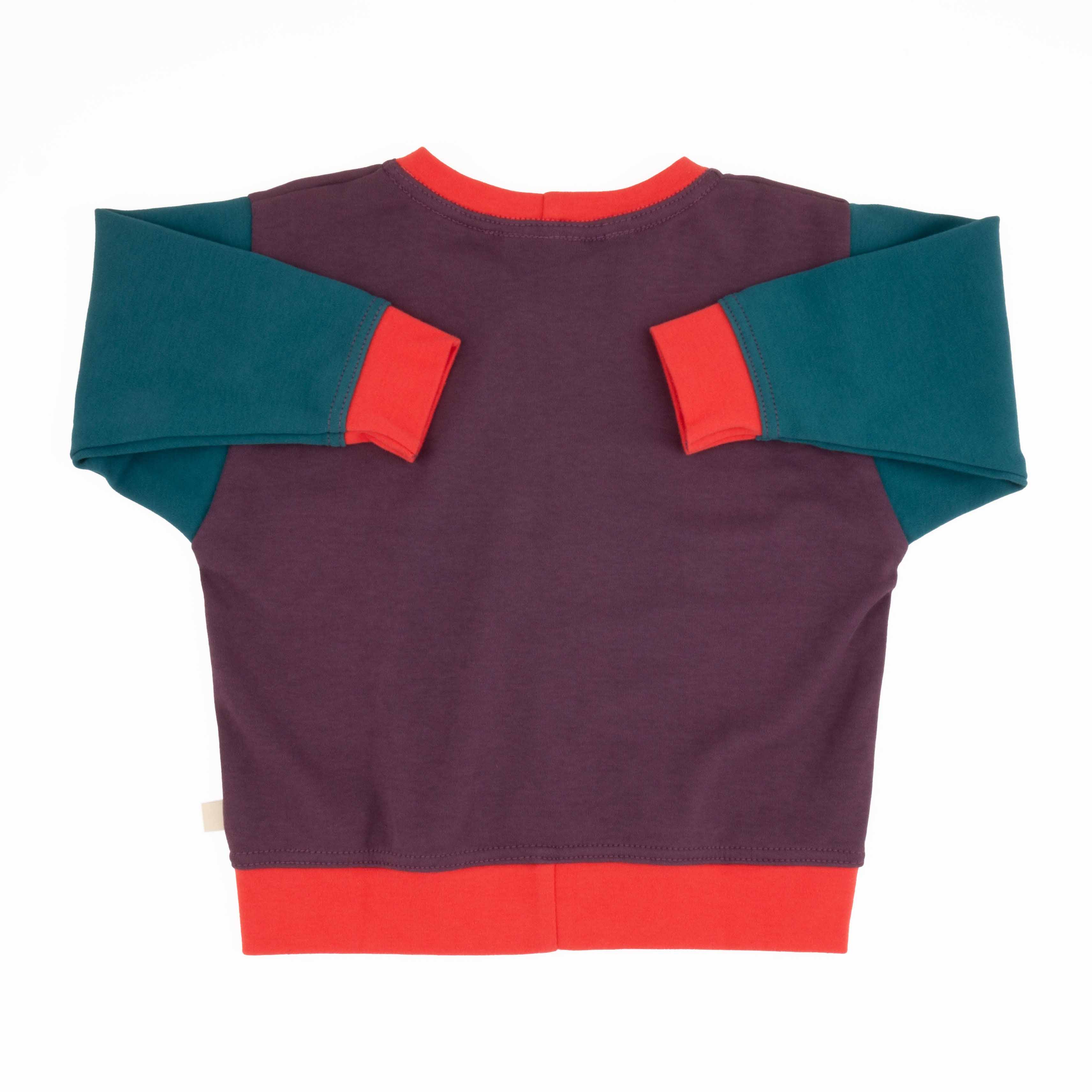 Baby Colorblock Sweatshirt