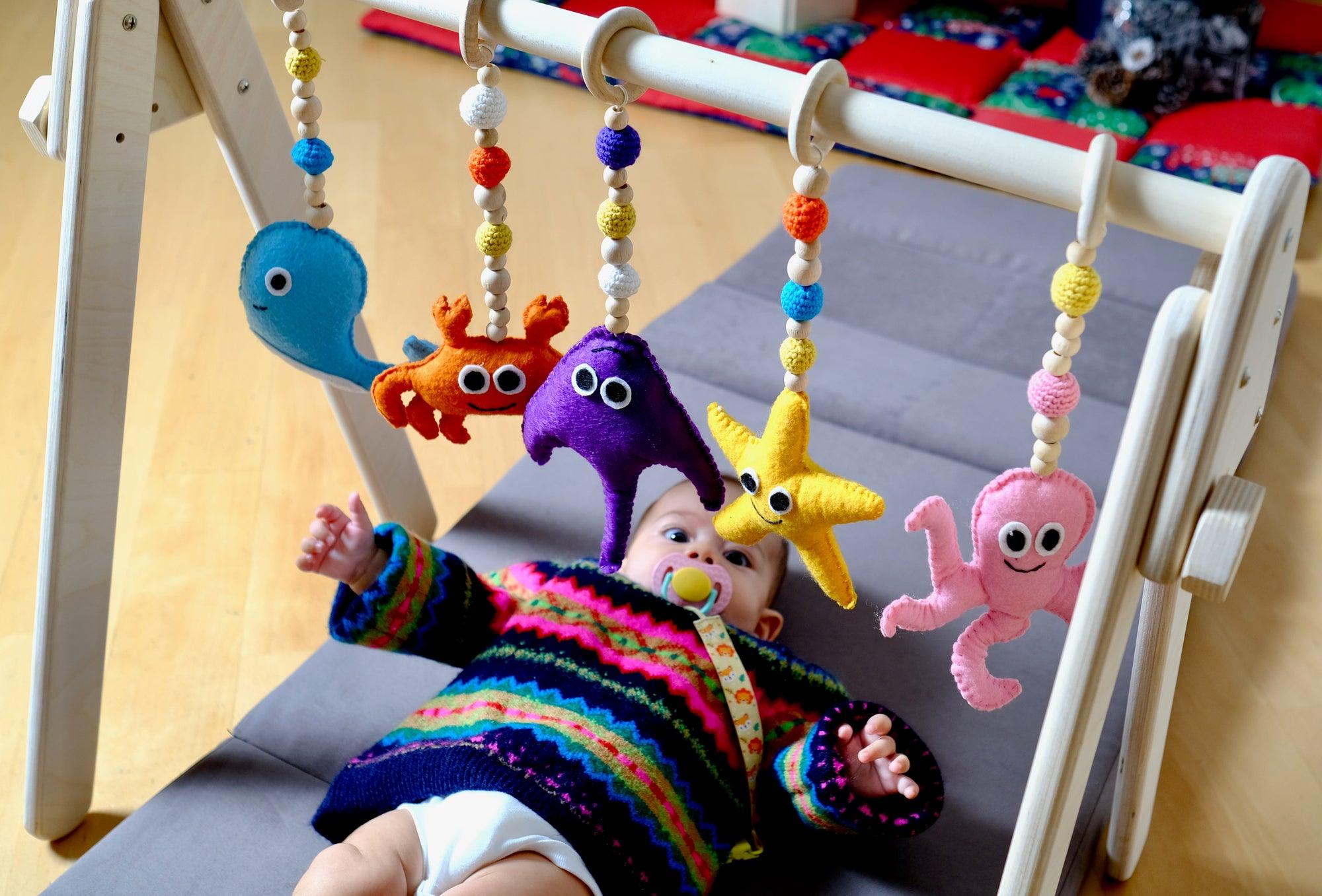 Baby Gym And Hanging Toys