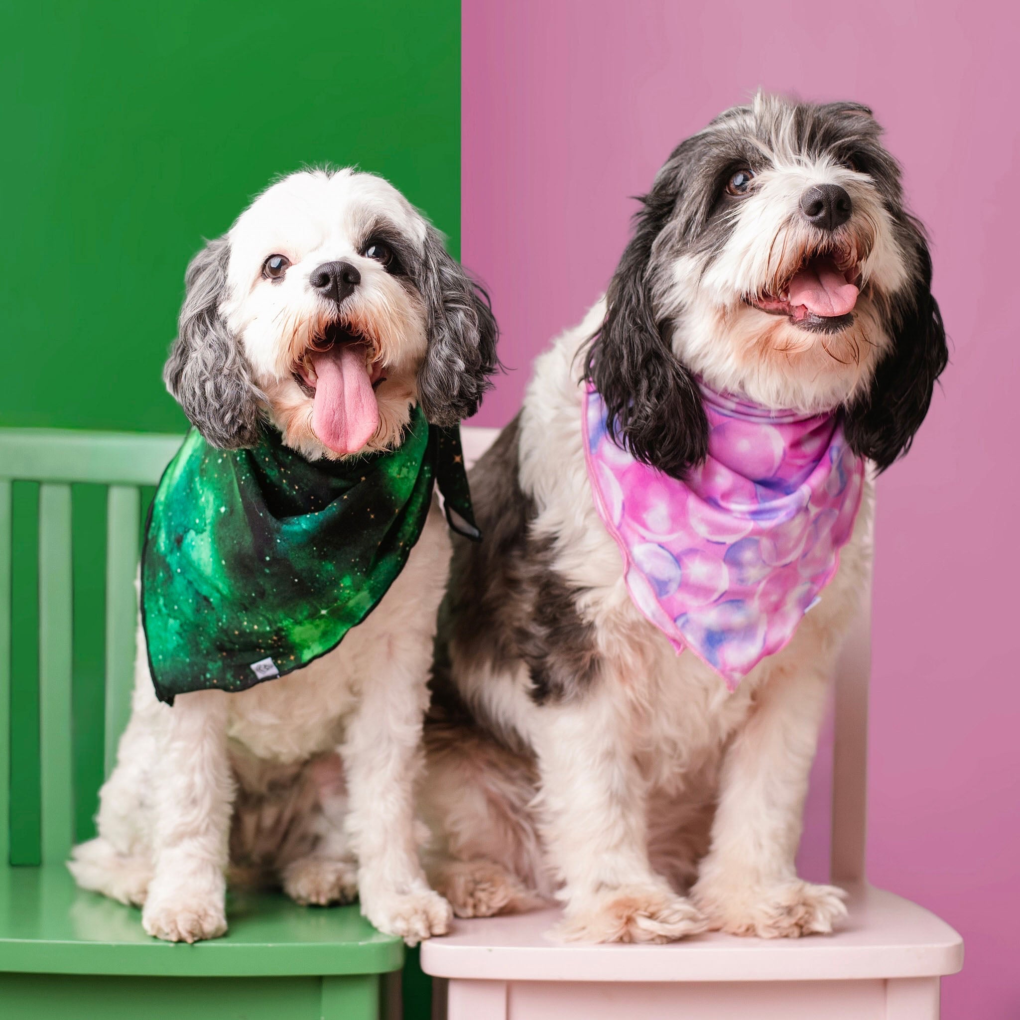 Wicked Cute | Green Galaxy Elixir | Bamboo Pet Bandana