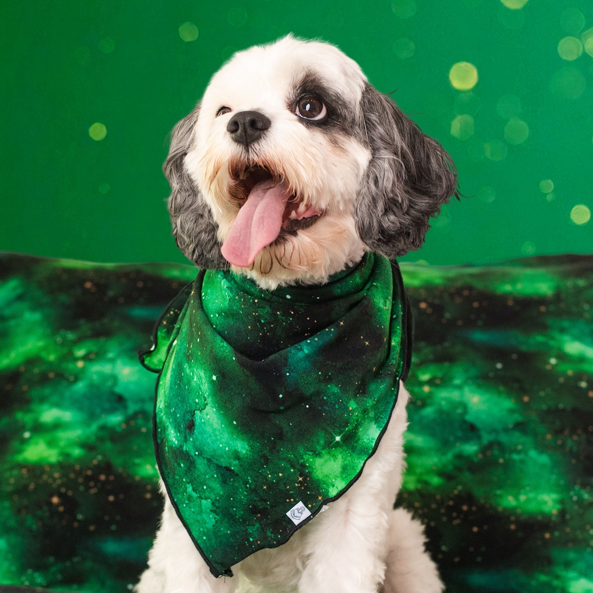 Wicked Cute | Green Galaxy Elixir | Bamboo Pet Bandana