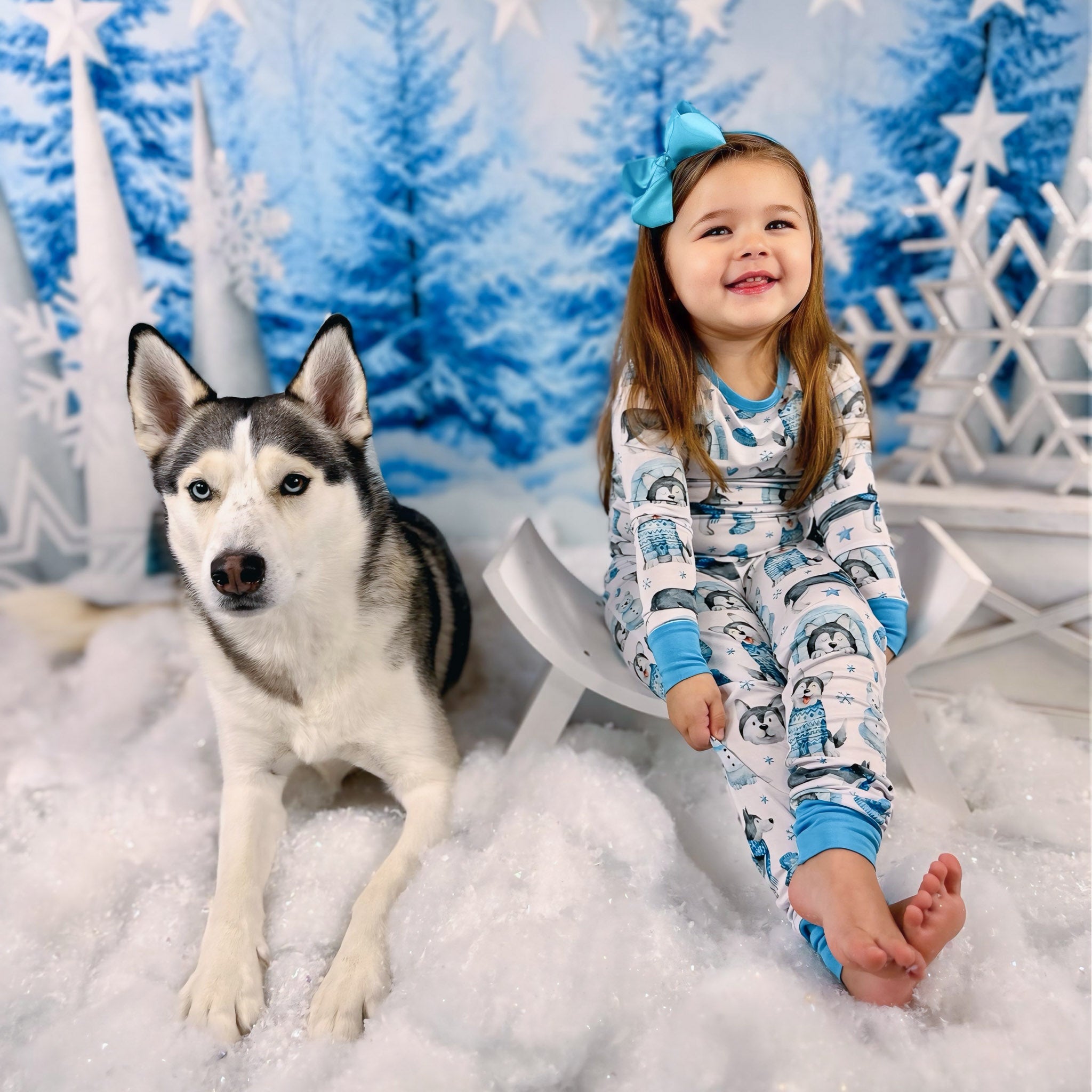 Arctic Huskies | Bamboo Two-piece Pajamas