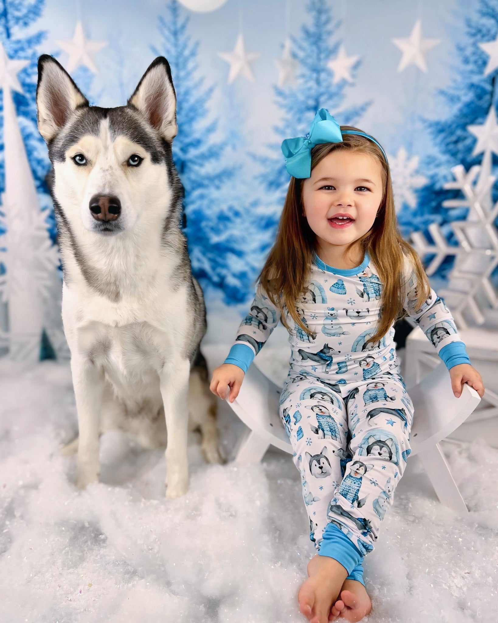 Arctic Huskies | Bamboo Two-piece Pajamas