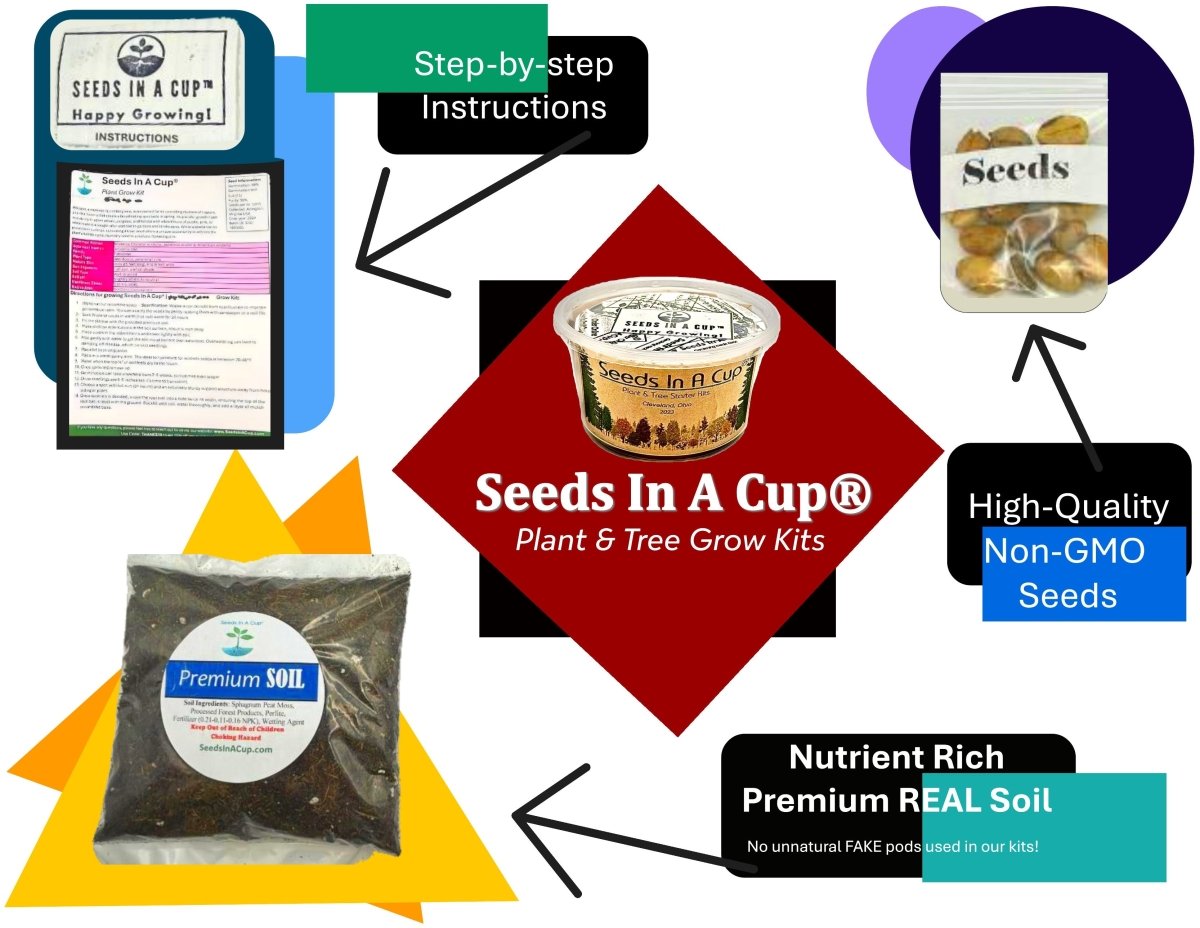 Bell Pepper | Plant Seed Starter Grow Kit |