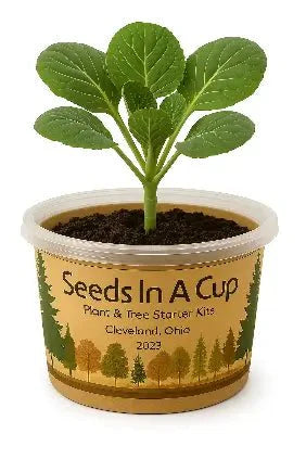 Bell Pepper | Plant Seed Starter Grow Kit |