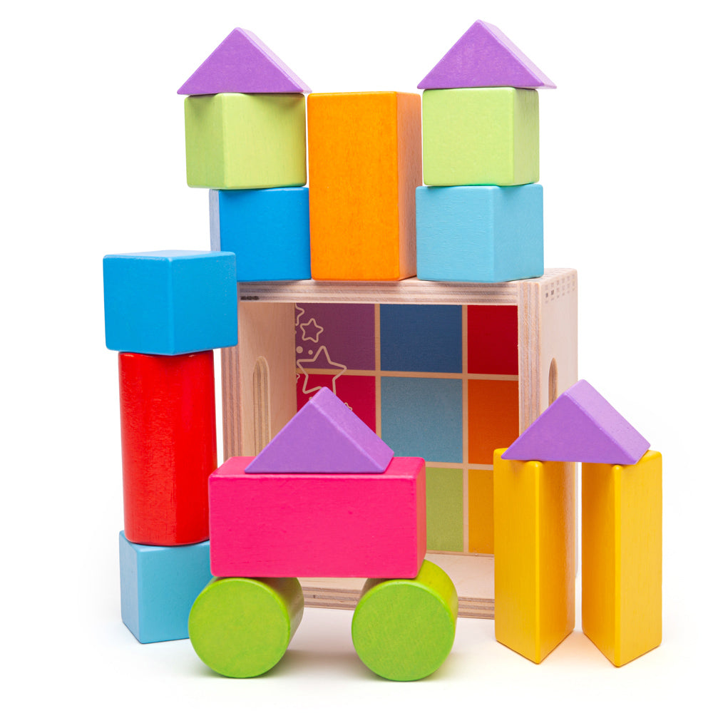 First Building Blocks By Bigjigs Toys Us