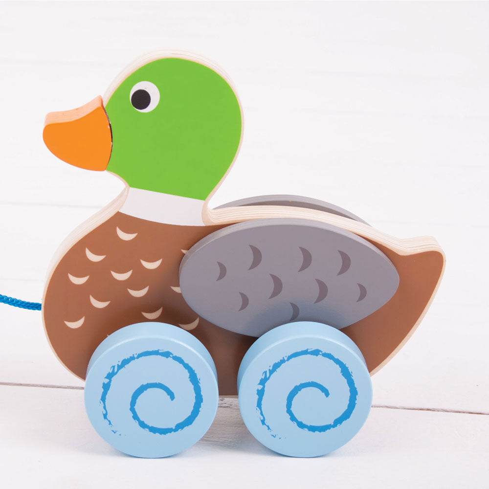 Duck Pull Along By Bigjigs Toys Us