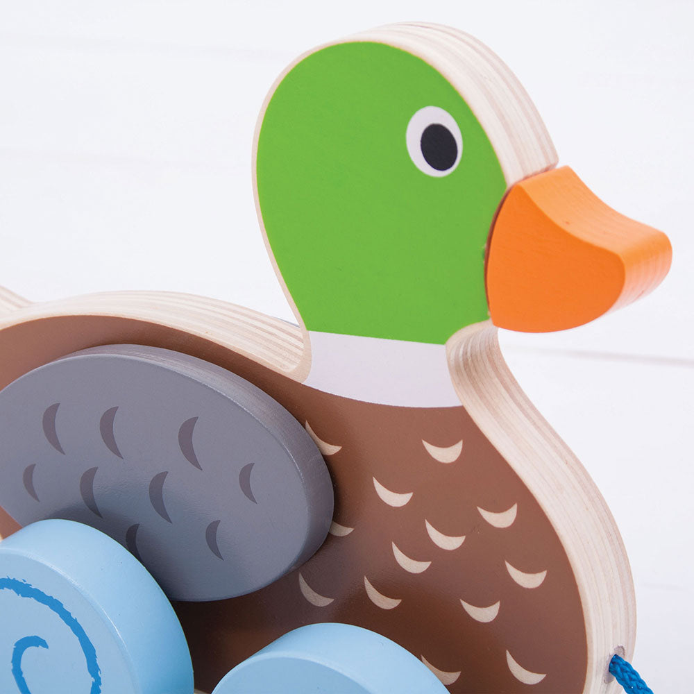 Duck Pull Along By Bigjigs Toys Us