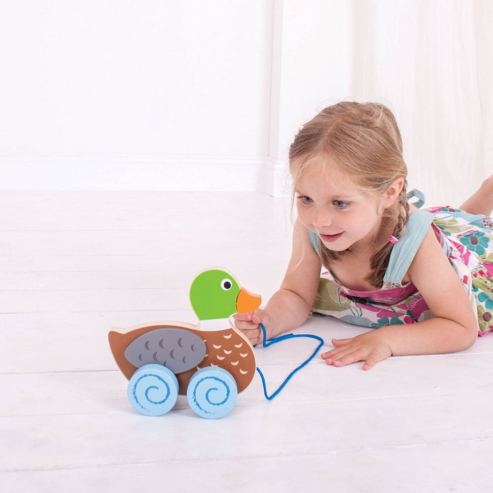 Duck Pull Along By Bigjigs Toys Us