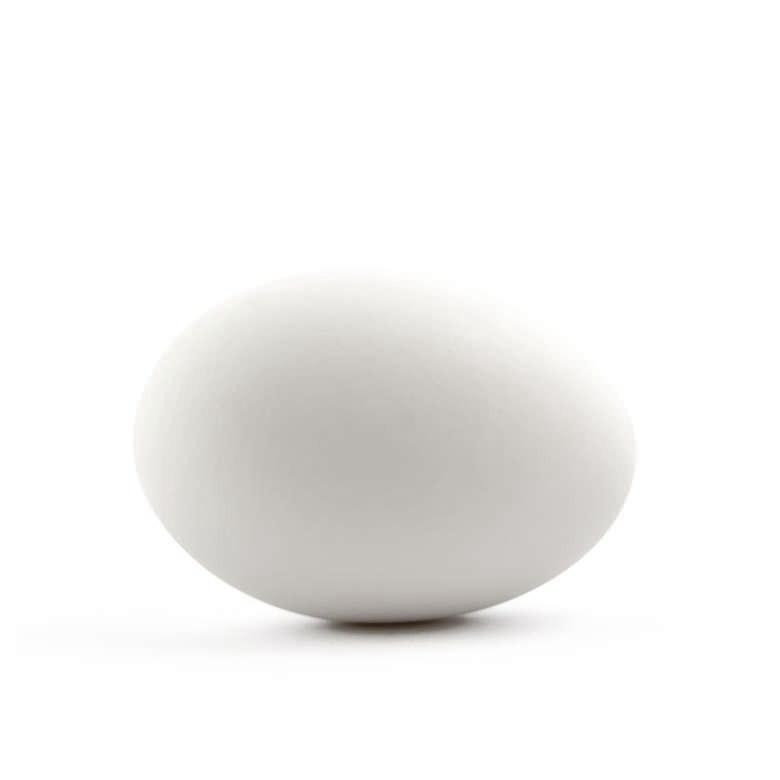 Blown Out Hollow Real Goose Eggshell For Easter Egg Decorating 3.1-inches Tall