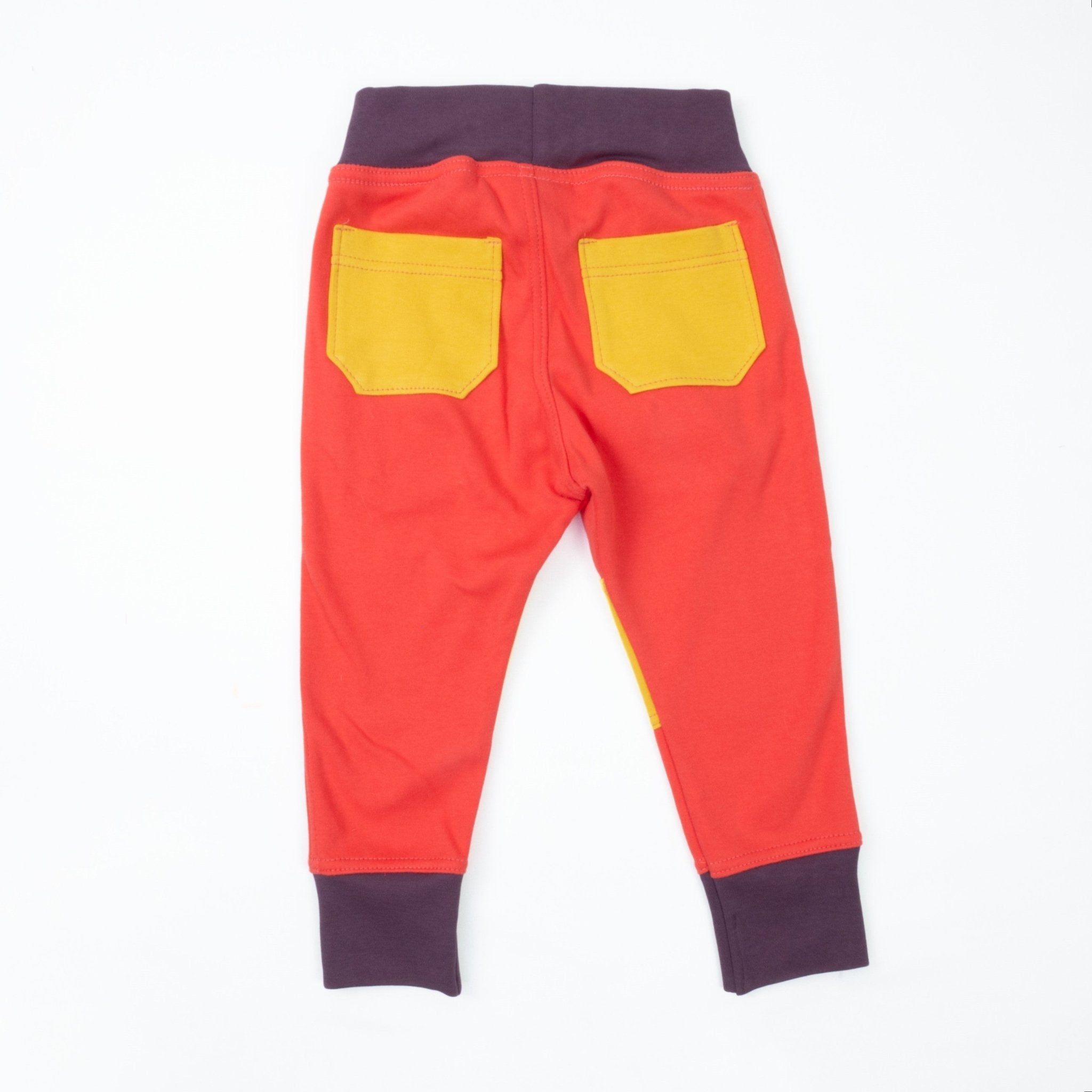 Big Kid Colorblock Joggers