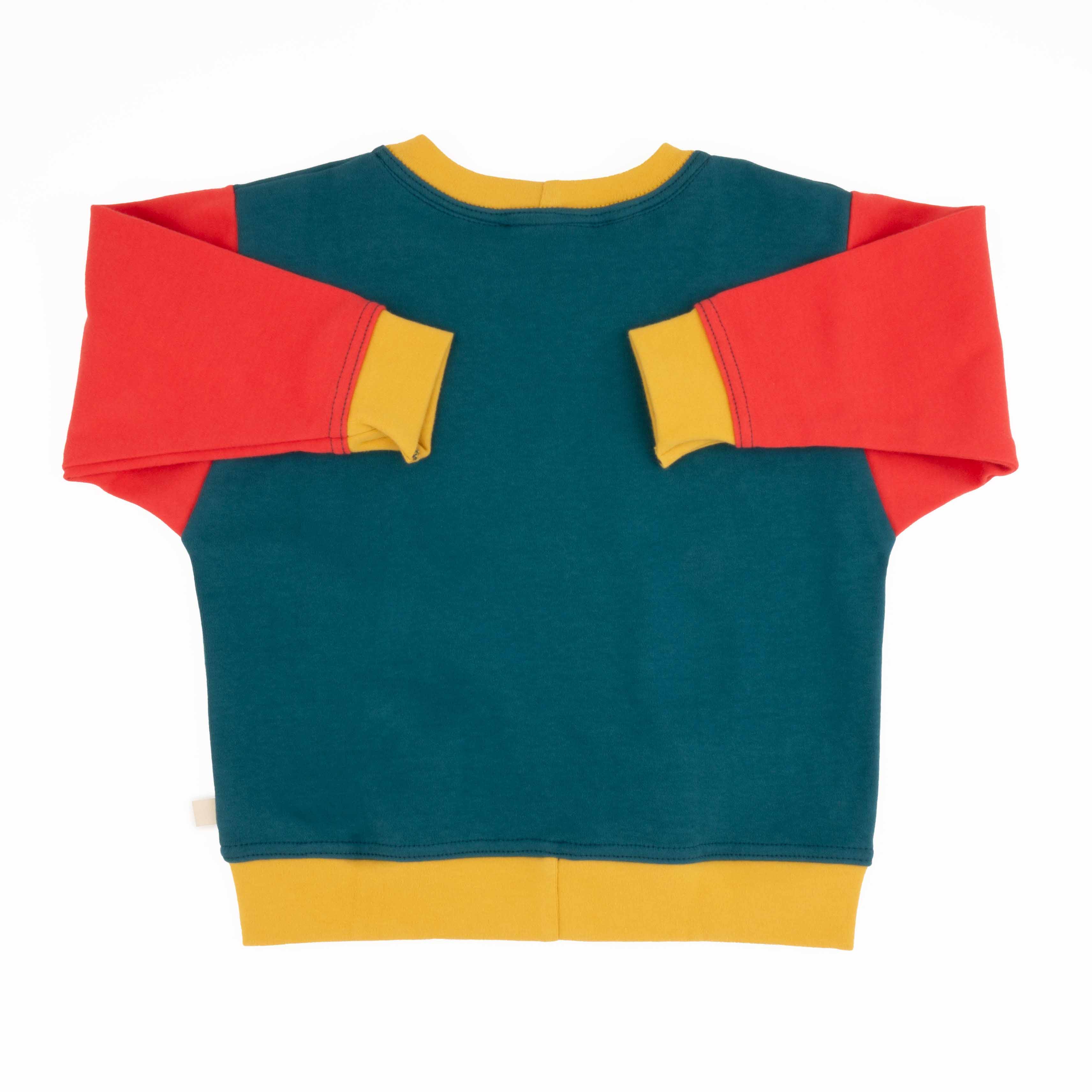 Big Kid Colorblock Sweatshirt